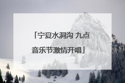 宁夏水洞沟 九点音乐节激情开唱
