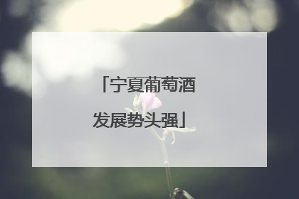 宁夏葡萄酒发展势头强