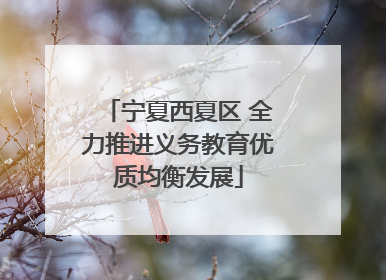 宁夏西夏区 全力推进义务教育优质均衡发展