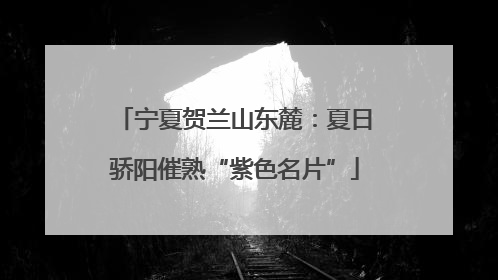 宁夏贺兰山东麓：夏日骄阳催熟“紫色名片”