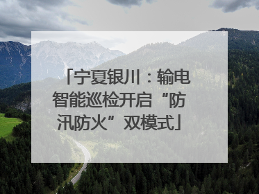 宁夏银川：输电智能巡检开启“防汛防火”双模式
