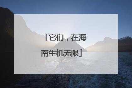 它们，在海南生机无限