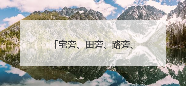 宅旁、田旁、路旁、水旁，整治提升人居环境，这里从“一处美”向“全域美”蝶变