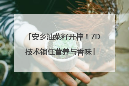 安乡油菜籽开榨！7D技术锁住营养与香味