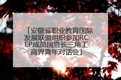 安徽省职业教育国际发展联盟组织参加RCEP成员国暨长三角工商界青年对话会