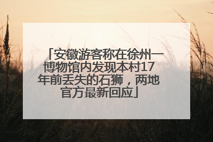 安徽游客称在徐州一博物馆内发现本村17年前丢失的石狮，两地官方最新回应