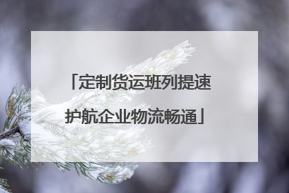 定制货运班列提速 护航企业物流畅通