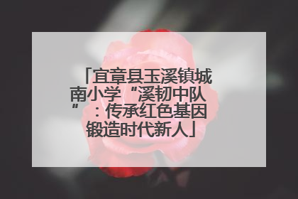 宜章县玉溪镇城南小学“溪韧中队”：传承红色基因 锻造时代新人