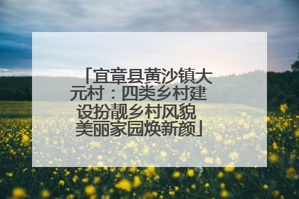 宜章县黄沙镇大元村：四类乡村建设扮靓乡村风貌 美丽家园焕新颜