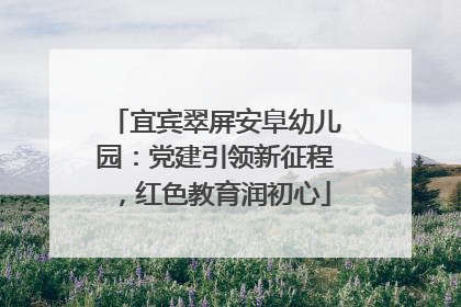 宜宾翠屏安阜幼儿园：党建引领新征程，红色教育润初心