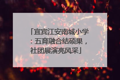 宜宾江安南城小学：五育融合结硕果，社团展演亮风采