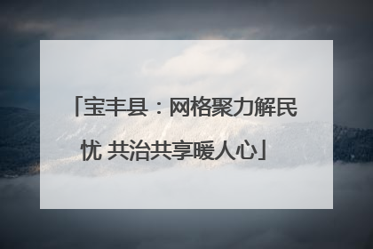 宝丰县：网格聚力解民忧 共治共享暖人心