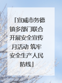 宣威市务德镇多部门联合开展安全宣传月活动 筑牢安全生产人民防线