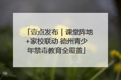 壹点发布｜课堂阵地+家校联动 德州青少年禁毒教育全覆盖