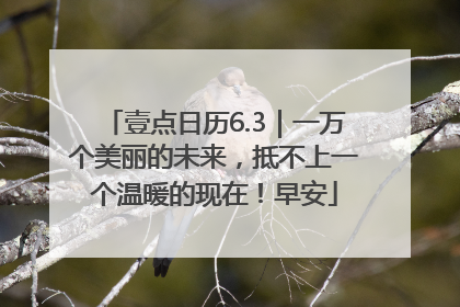 壹点日历6.3｜一万个美丽的未来，抵不上一个温暖的现在！早安