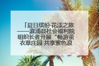 夏日缤纷·花漾之旅——溆浦县社会福利院组织长者开展“畅游薰衣草庄园 共享紫色浪漫”户外活动