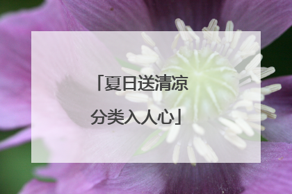 夏日送清凉 分类入人心