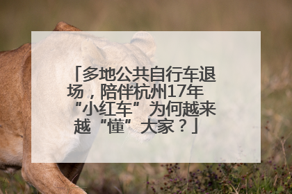 多地公共自行车退场，陪伴杭州17年“小红车”为何越来越“懂”大家？