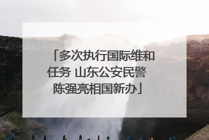 多次执行国际维和任务 山东公安民警陈强亮相国新办