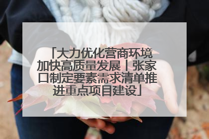 大力优化营商环境 加快高质量发展丨张家口制定要素需求清单推进重点项目建设