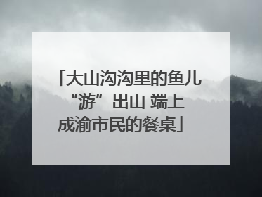 大山沟沟里的鱼儿 “游”出山 端上成渝市民的餐桌