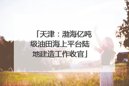 天津：渤海亿吨级油田海上平台陆地建造工作收官