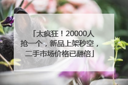 太疯狂！20000人抢一个，新品上架秒空，二手市场价格已翻倍