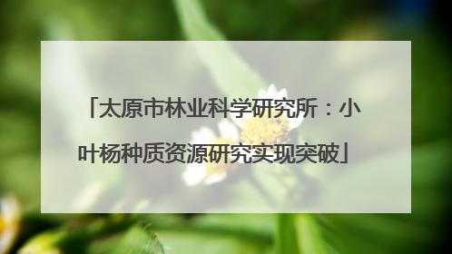 太原市林业科学研究所：小叶杨种质资源研究实现突破