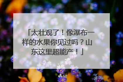 太壮观了！像瀑布一样的水果你见过吗？山东这里超能产！
