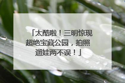 太酷啦！三明惊现超绝宝藏公园，拍照遛娃两不误！