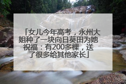 女儿今年高考，永州大姐种了一块向日葵田为她祝福：有200多棵，送了很多给其他家长