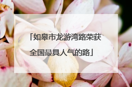 如皋市龙游湾路荣获全国最具人气的路