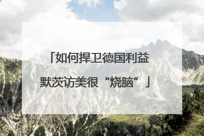 如何捍卫德国利益 默茨访美很“烧脑”