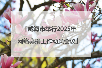 威海市举行2025年网络募捐工作动员会议