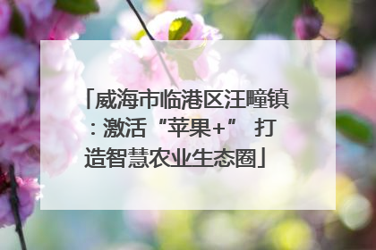 威海市临港区汪疃镇：激活“苹果+” 打造智慧农业生态圈