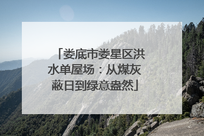 娄底市娄星区洪水单屋场：从煤灰蔽日到绿意盎然