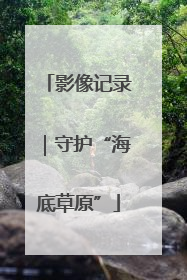 影像记录｜守护“海底草原”