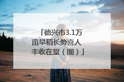 德兴市3.1万亩早稻长势喜人 丰收在望（图）
