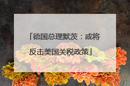 德国总理默茨：或将反击美国关税政策