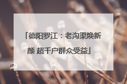 德阳罗江：老沟渠焕新颜 超千户群众受益