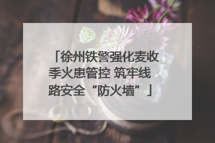 徐州铁警强化麦收季火患管控 筑牢线路安全“防火墙”