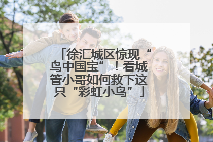 徐汇城区惊现“鸟中国宝”！看城管小哥如何救下这只“彩虹小鸟”