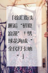 徐汇街头邂逅“初夏浪漫”！绣球花海成“全民打卡地”