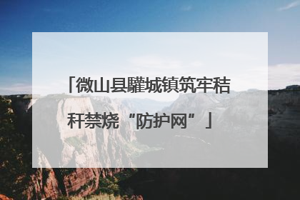 微山县驩城镇筑牢秸秆禁烧“防护网”
