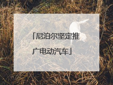 尼泊尔坚定推广电动汽车