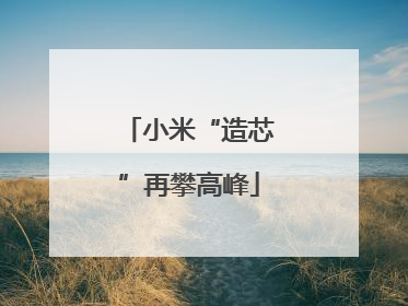 小米“造芯”再攀高峰