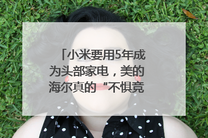 小米要用5年成为头部家电，美的海尔真的“不惧竞争”？｜热财经