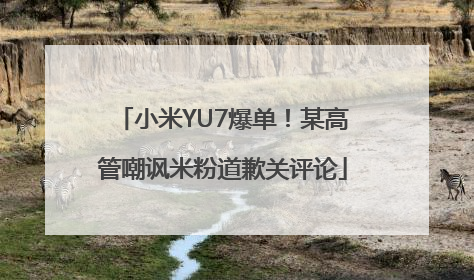 小米YU7爆单！某高管嘲讽米粉道歉关评论