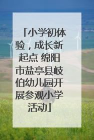 小学初体验，成长新起点 绵阳市盐亭县岐伯幼儿园开展参观小学活动