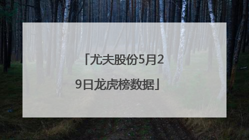 尤夫股份5月29日龙虎榜数据